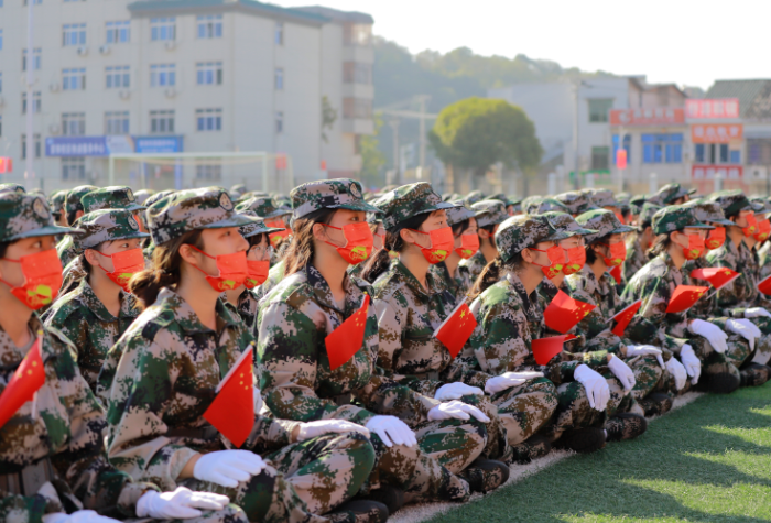 活动现场 马.png