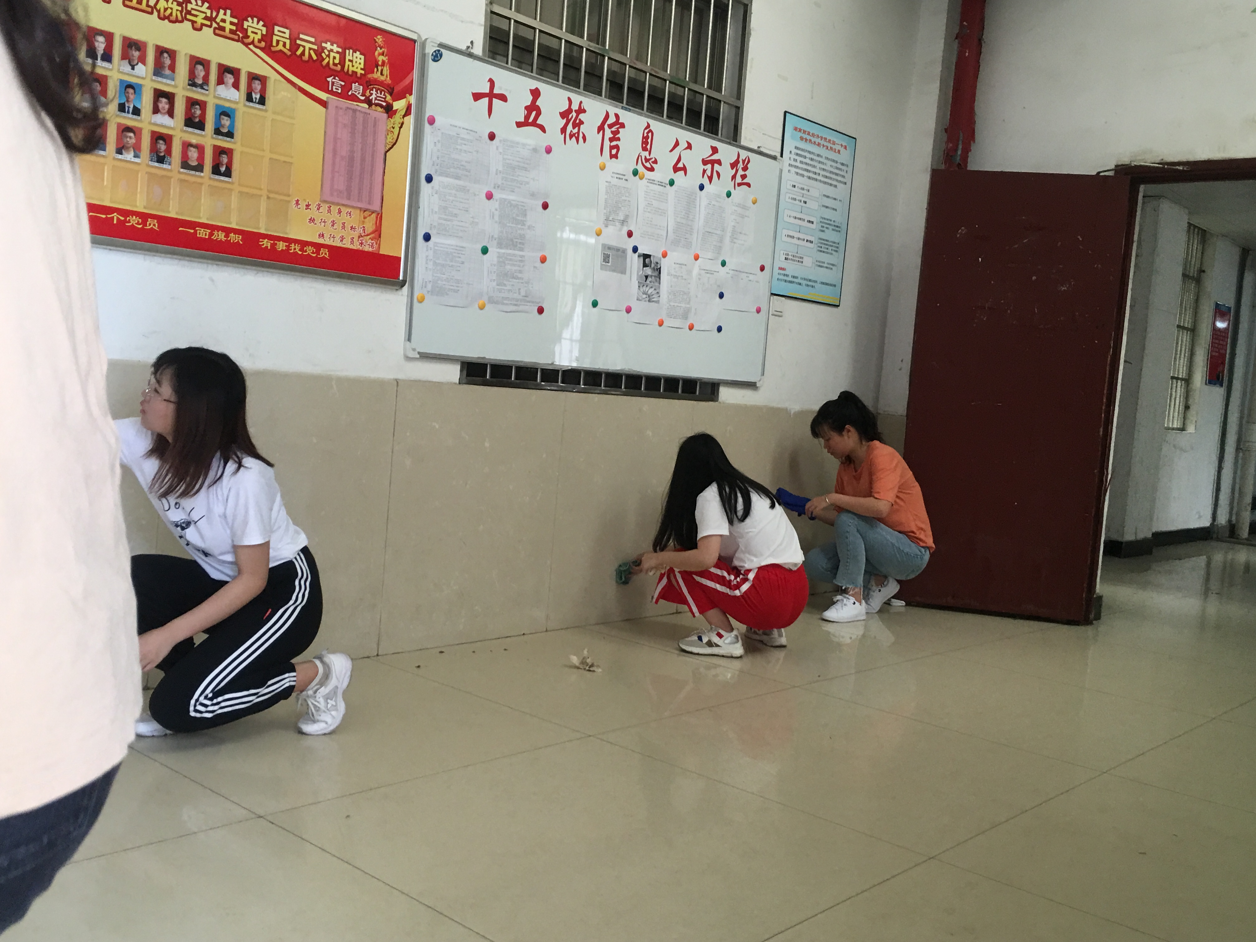 树先锋模范 增党性认识-入党积极分子、发展对象公益活动